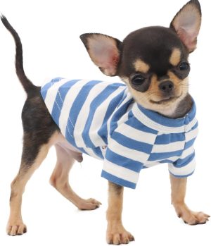 Cotton Striped Tee for Teacup Chihuahua XS