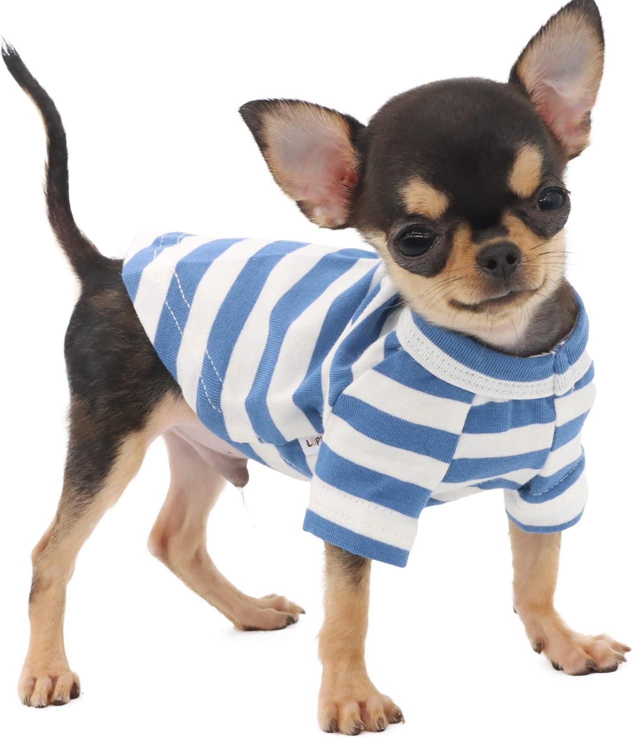 Cotton Striped Tee for Teacup Chihuahua XS