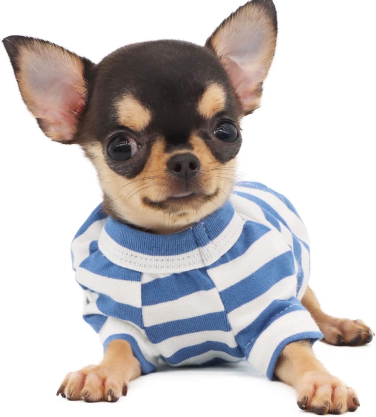 Cotton Striped Tee for Teacup Chihuahua XS - Image 2