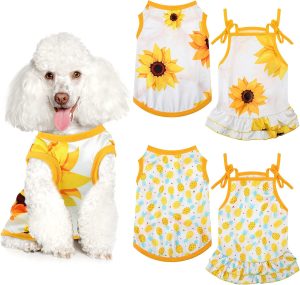 2 Pack Cute Dress + Breathable T-Shirt Set