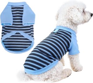 Striped Stretchy Dog T-Shirt with Buckle Large