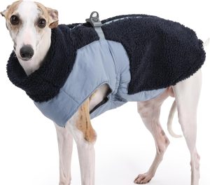 Dog Cold Weather Coats for Small Medium Large  Outdoor Indoor Activities-Warm Pet Winter Clothes Jackets - Windproof Warm Colors Style Dog Vest (Blue, Medium)